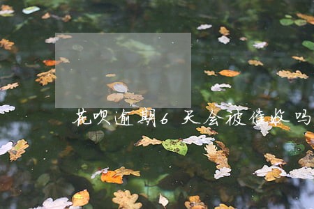花呗逾期6天会被催收吗 花呗逾期6天会被催收吗