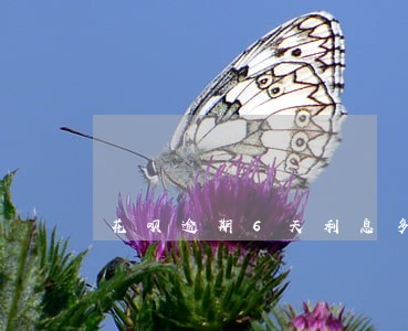 花呗逾期6天利息多少 花呗逾期6天利息多少