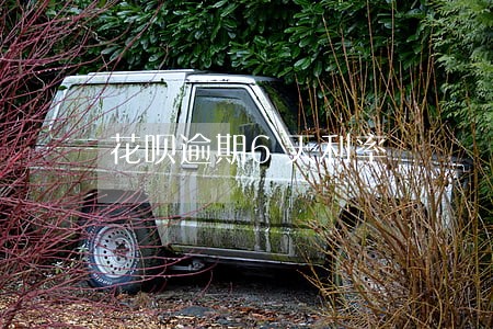 花呗逾期6天利率 花呗逾期6天利率