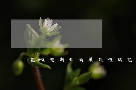 花呗逾期6天接到催收电话 花呗逾期6天接到催收电话