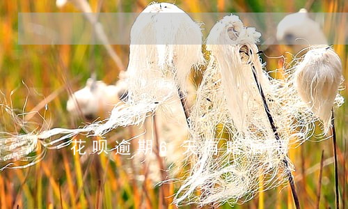 花呗逾期6天有啥后果 花呗逾期6天有啥后果