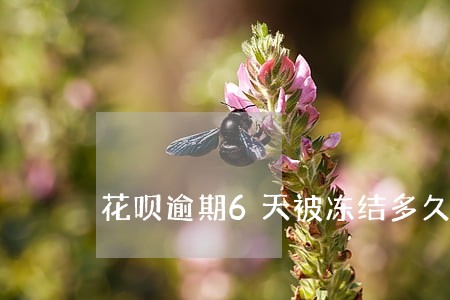 花呗逾期6天被冻结多久解冻 花呗逾期6天被冻结多久解冻