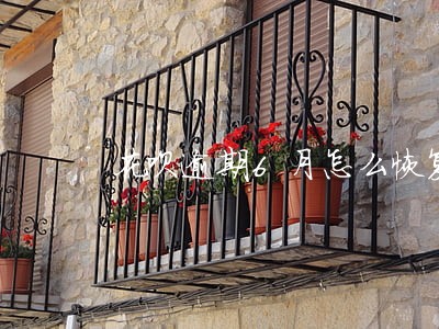 花呗逾期6月怎么恢复正常 花呗逾期6月怎么恢复正常