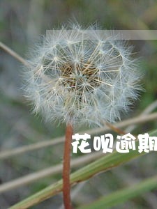 花呗逾期6次影不影响买车 花呗逾期6次影不影响买车