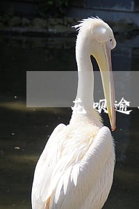 花呗逾期7000多久会起诉 花呗逾期7000多久会起诉