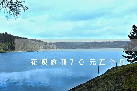 花呗逾期70元五个月 花呗逾期70元五个月