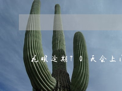 花呗逾期70天会上门吗 花呗逾期70天会上门吗