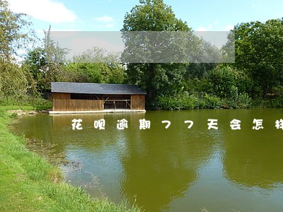 花呗逾期77天会怎样
