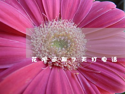 花呗逾期7天打电话 花呗逾期7天打电话