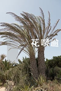 花呗逾期7天要求一次性还清 花呗逾期7天要求一次性还清