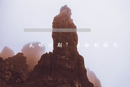 花呗逾期7月份的图片 花呗逾期7月份的图片