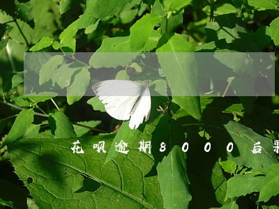 花呗逾期8000后果 花呗逾期8000后果