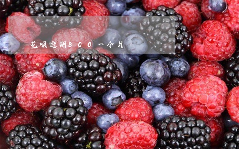 花呗逾期800一个月 花呗逾期800一个月