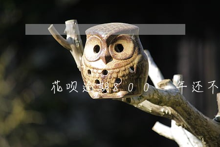 花呗逾期800一年还不上怎么办 花呗逾期800一年还不上怎么办