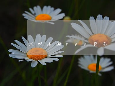 花呗逾期800罚息 花呗逾期800罚息