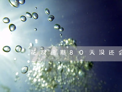 花呗逾期80天没还会有什么后果 花呗逾期80天没还会有什么后果
