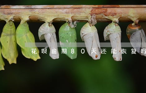 花呗逾期80天还能恢复吗 花呗逾期80天还能恢复吗