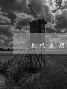 花呗逾期8个月会爆通讯录吗 花呗逾期8个月会爆通讯录吗