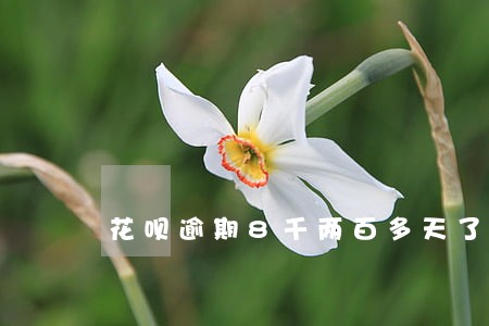 花呗逾期8千两百多天了要上门么 花呗逾期8千两百多天了要上门么