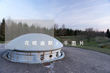 花呗逾期8千图片 花呗逾期8千图片