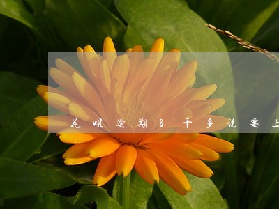 花呗逾期8千多说要上门是真的吗 花呗逾期8千多说要上门是真的吗