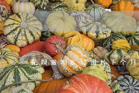 花呗逾期8号图片下个月额度零 花呗逾期8号图片下个月额度零