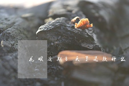 花呗逾期8天了还款什么时候恢复 花呗逾期8天了还款什么时候恢复