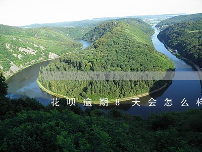 花呗逾期8天会怎么样