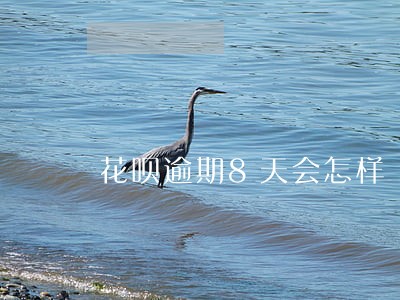 花呗逾期8天会怎样 花呗逾期8天会怎样