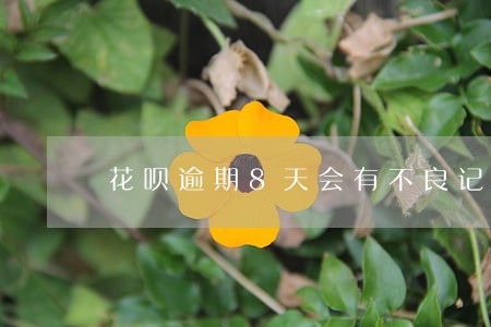 花呗逾期8天会有不良记录吗 花呗逾期8天会有不良记录吗