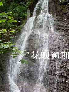 花呗逾期8天能恢复使用吗 花呗逾期8天能恢复使用吗