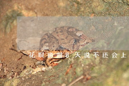 花呗逾期8天说不还会上交 花呗逾期8天说不还会上交