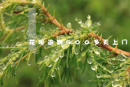 花呗逾期900多天上门走访