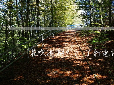 花呗逾期90了打电话我了 花呗逾期90了打电话我了