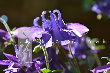 花呗逾期90天了怎么恢复 花呗逾期90天了怎么恢复