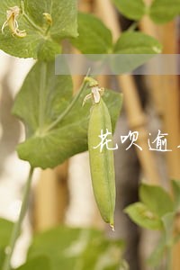花呗逾期90天以上还能恢复吗 花呗逾期90天以上还能恢复吗