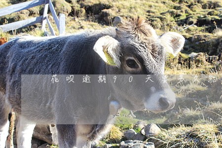 花呗逾期90天要多久能恢复 花呗逾期90天要多久能恢复