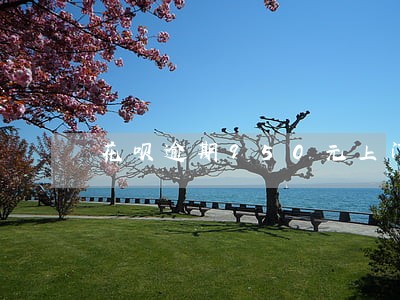 花呗逾期950元上门催收 花呗逾期950元上门催收