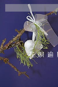 花呗逾期95天额度5000 花呗逾期95天额度5000