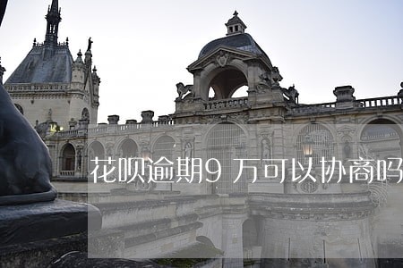 花呗逾期9万可以协商吗