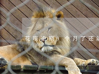 花呗逾期9个月了还能去分期吗 花呗逾期9个月了还能去分期吗