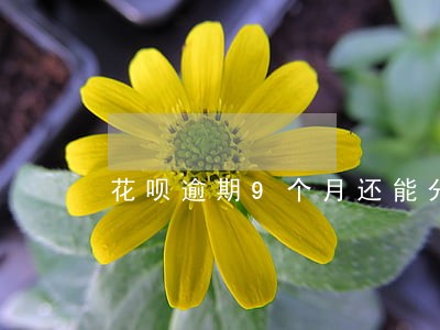 花呗逾期9个月还能分期还吗 花呗逾期9个月还能分期还吗