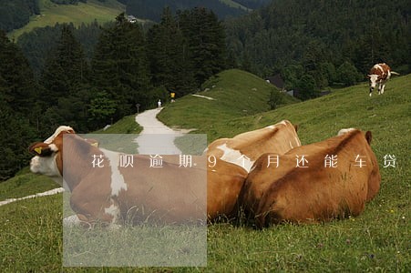 花呗逾期9个月还能车贷吗 花呗逾期9个月还能车贷吗