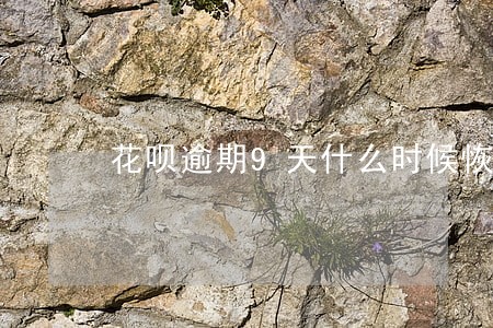 花呗逾期9天什么时候恢复使用 花呗逾期9天什么时候恢复使用