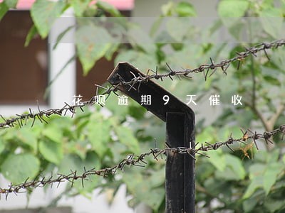 花呗逾期9天催收 花呗逾期9天催收