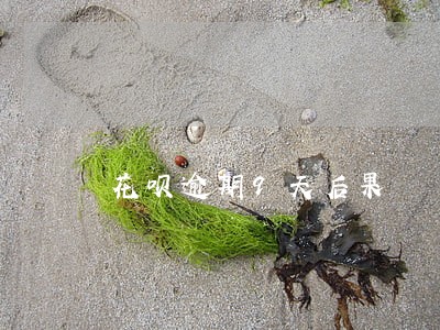 花呗逾期9天后果 花呗逾期9天后果