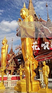 花呗逾期9天没记录 花呗逾期9天没记录