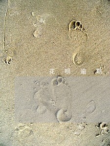 花呗逾期9天额度下降吗 花呗逾期9天额度下降吗