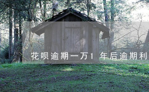 花呗逾期一万1年后逾期利息多少 花呗逾期一万1年后逾期利息多少