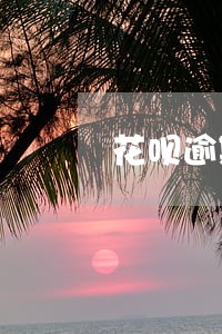 花呗逾期一万3左右的图片 花呗逾期一万3左右的图片